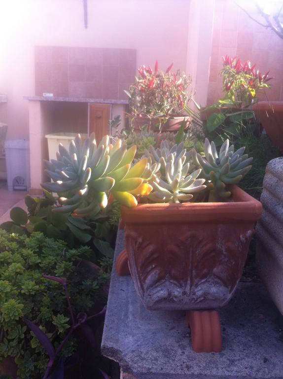 Bed And Breakfast Letterario Fiumicino Dış mekan fotoğraf