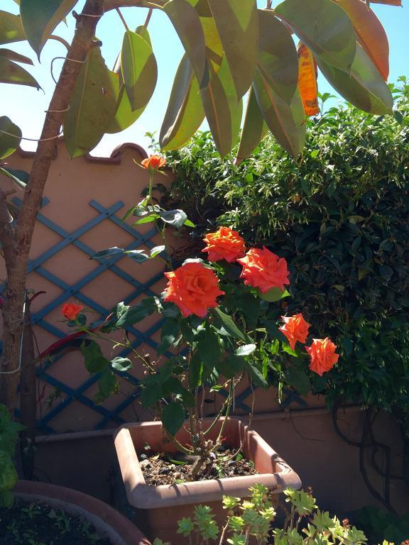 Bed And Breakfast Letterario Fiumicino Dış mekan fotoğraf