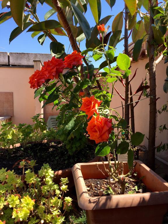 Bed And Breakfast Letterario Fiumicino Dış mekan fotoğraf