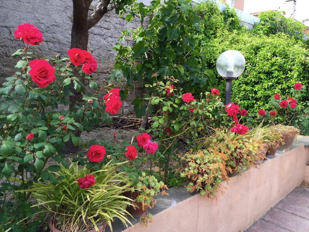 Bed And Breakfast Letterario Fiumicino Dış mekan fotoğraf