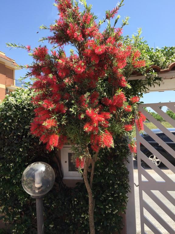 Bed And Breakfast Letterario Fiumicino Dış mekan fotoğraf