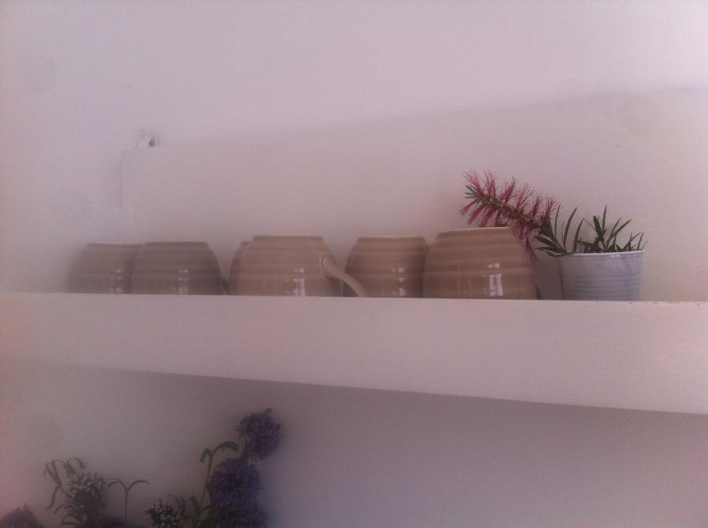 Bed And Breakfast Letterario Fiumicino Dış mekan fotoğraf