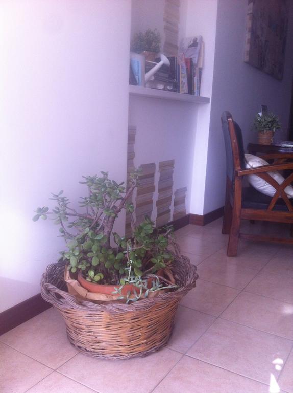 Bed And Breakfast Letterario Fiumicino Dış mekan fotoğraf